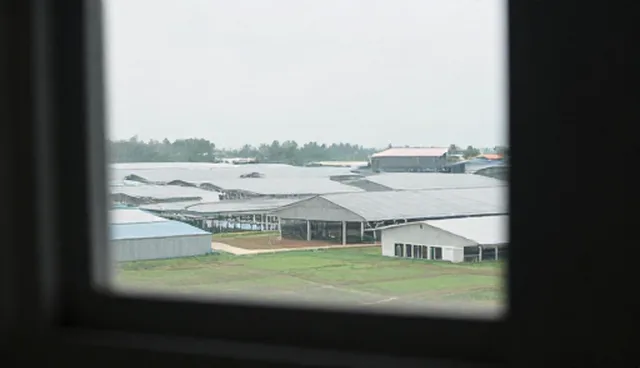 技术推广中运维成本差异的成因分析